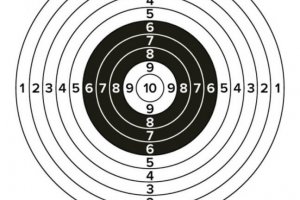 target-gun-classic-paper-shooting-target-vector-16794266